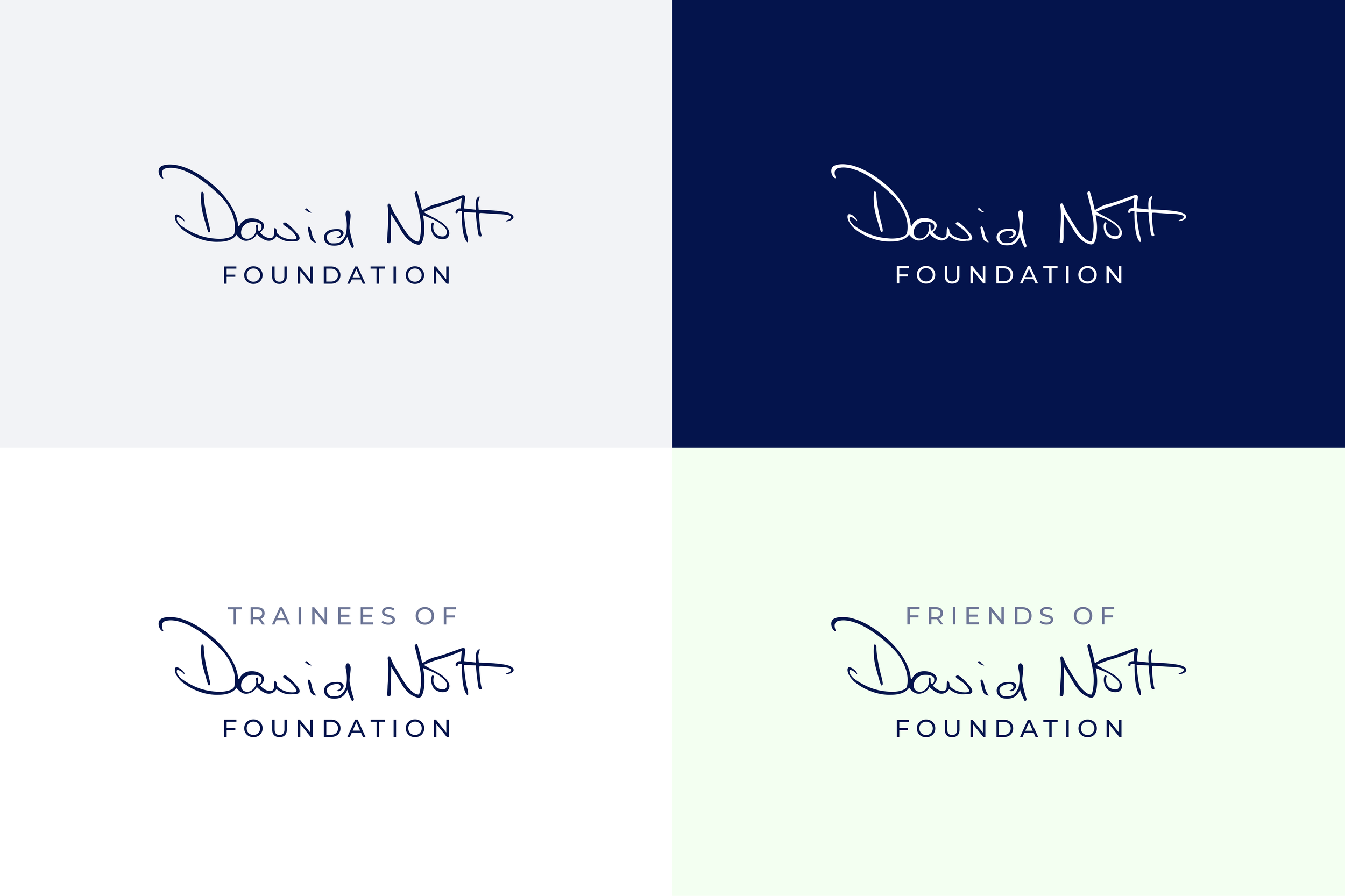 The David Nott Foundation signature logo on grey, navy and pale green, including ‘Trainees of’ and ‘Friends of’ versions